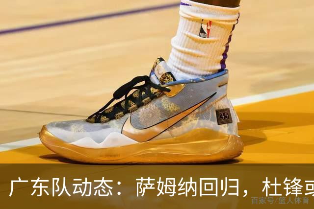 广东队动态：萨姆纳回归，杜锋或将出任国家队主教练？